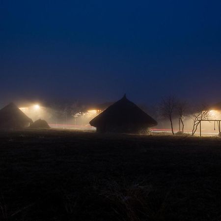Hotel Ferma Dacilor Tohani Zewnętrze zdjęcie