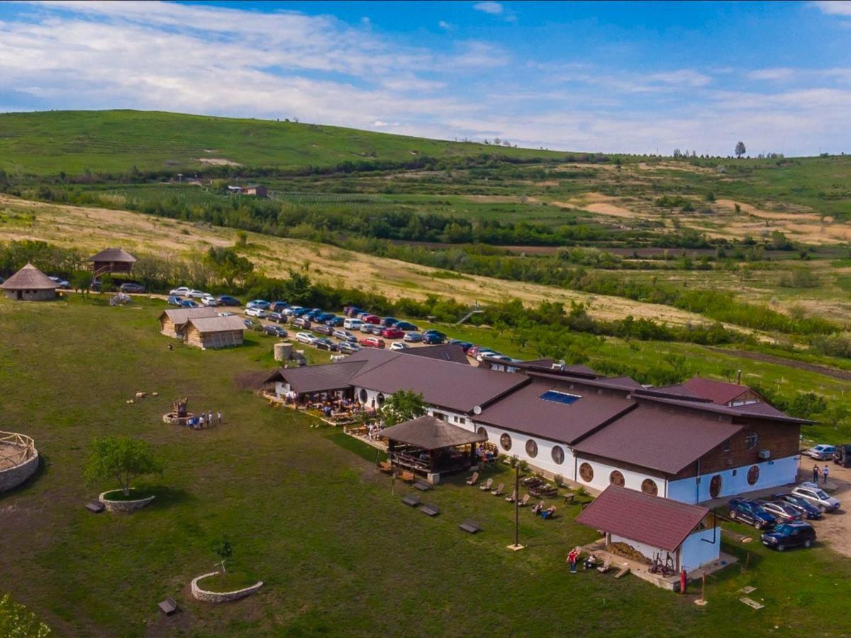 Hotel Ferma Dacilor Tohani Zewnętrze zdjęcie