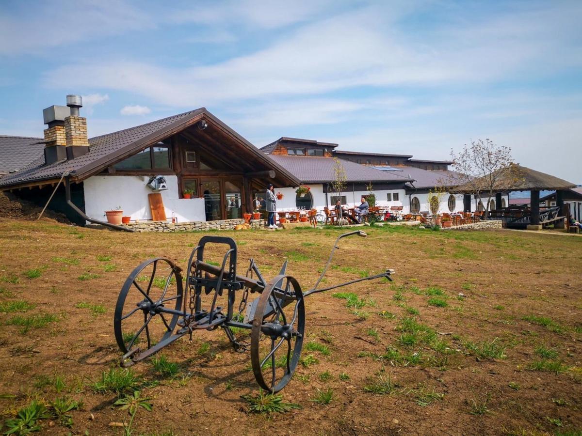 Hotel Ferma Dacilor Tohani Zewnętrze zdjęcie