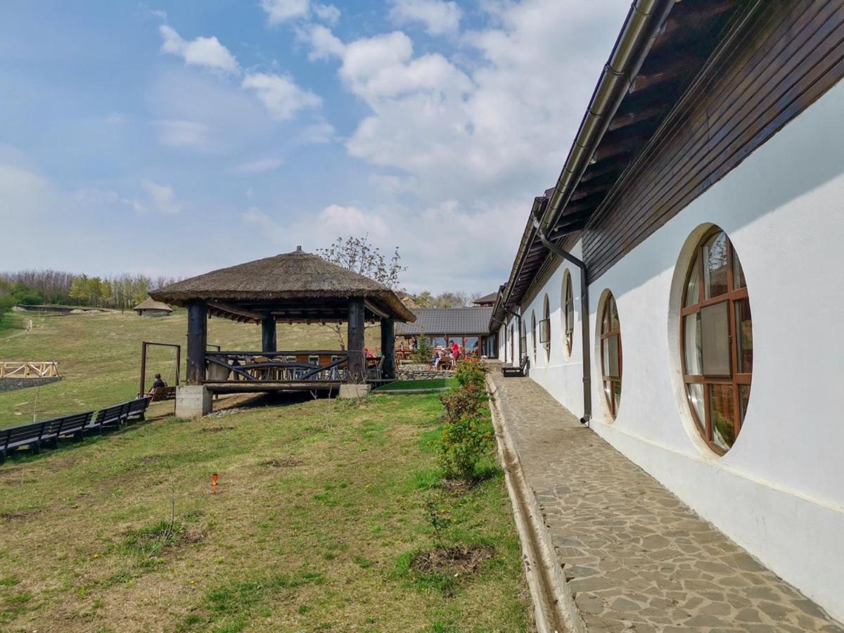 Hotel Ferma Dacilor Tohani Zewnętrze zdjęcie